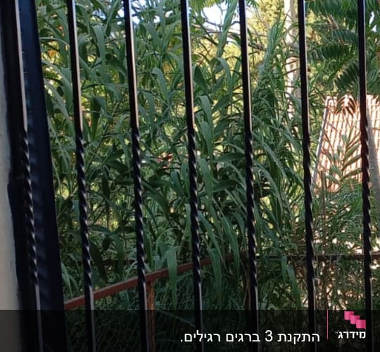 סורגי מתכת שחורים עם צמחייה ברקע